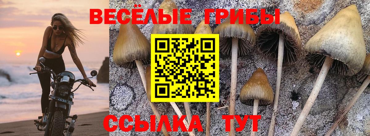 Псилоцибиновые грибы MAGIC MUSHROOMS Новодвинск