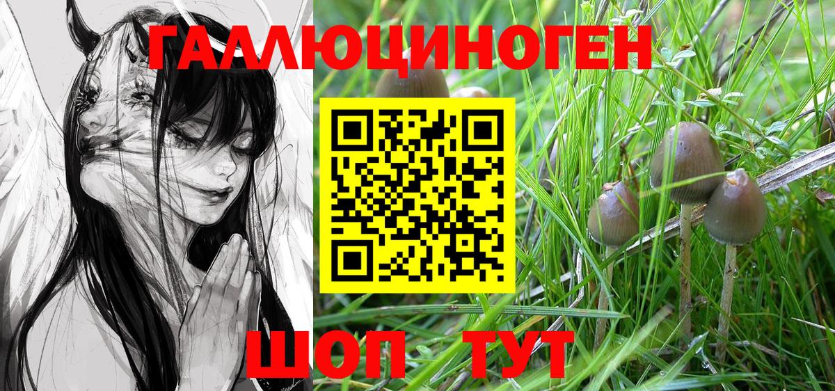 Галлюциногенные грибы мицелий  Псилоцибиновые грибы Cubensis  Вход с VPN  Новодвинск 